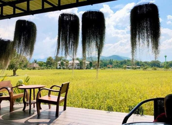 Oon Valley Farm Stay San Kamphaeng Εξωτερικό φωτογραφία
