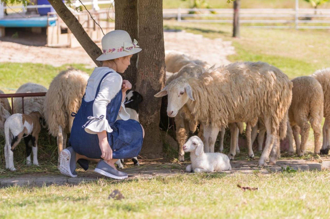 Oon Valley Farm Stay San Kamphaeng Εξωτερικό φωτογραφία